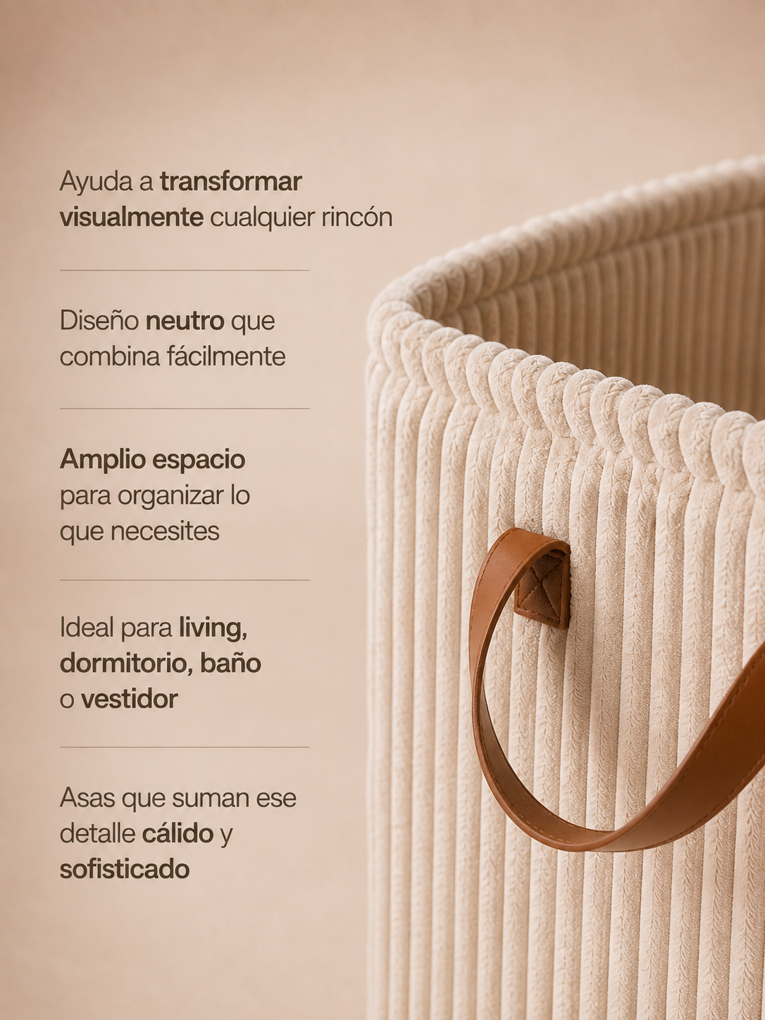 Cesto organizador