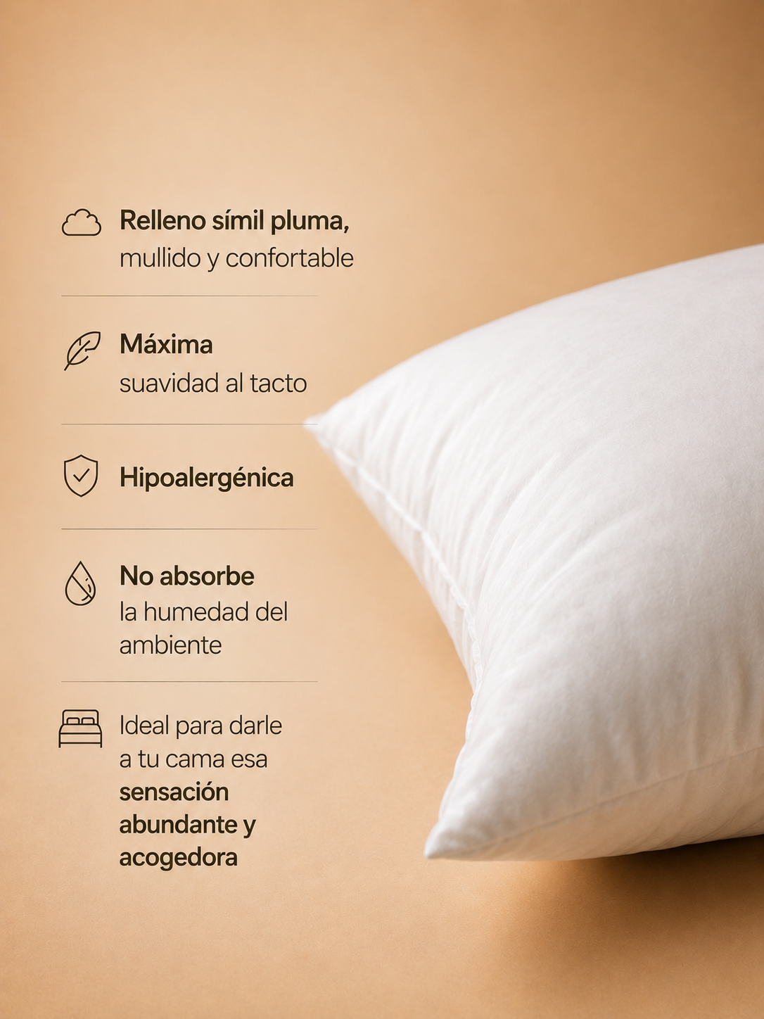 Almohada “La Aurora”